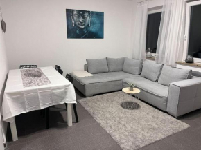 Zentrale Wohnung in Ostrach